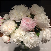 cd63b4eb-20170519 Ri božuri.jpg